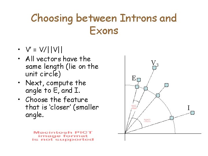 Choosing between Introns and Exons • V’ = V/||V|| • All vectors have the