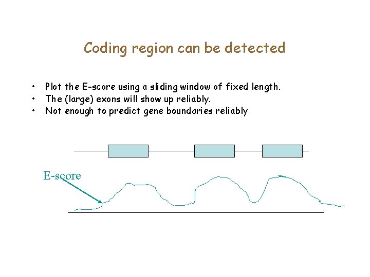 Coding region can be detected • • • Plot the E-score using a sliding