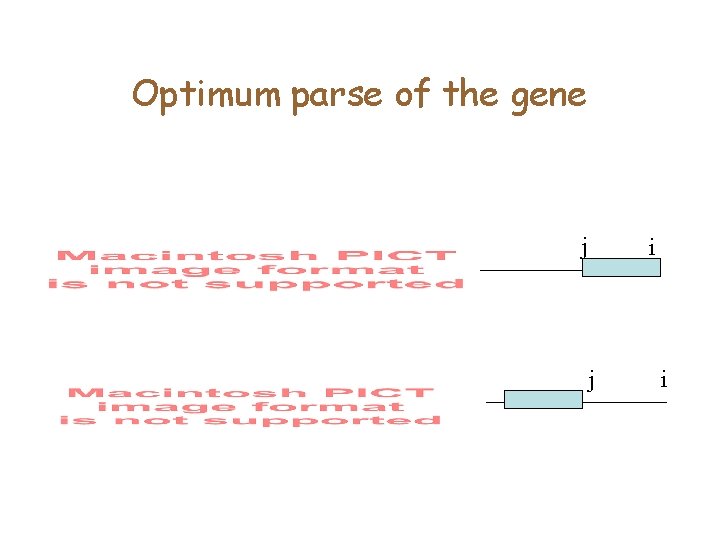 Optimum parse of the gene j i 