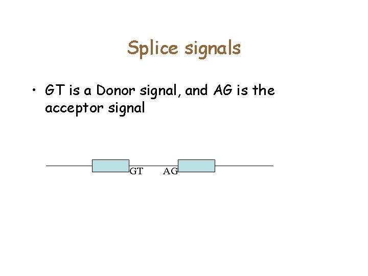 Splice signals • GT is a Donor signal, and AG is the acceptor signal