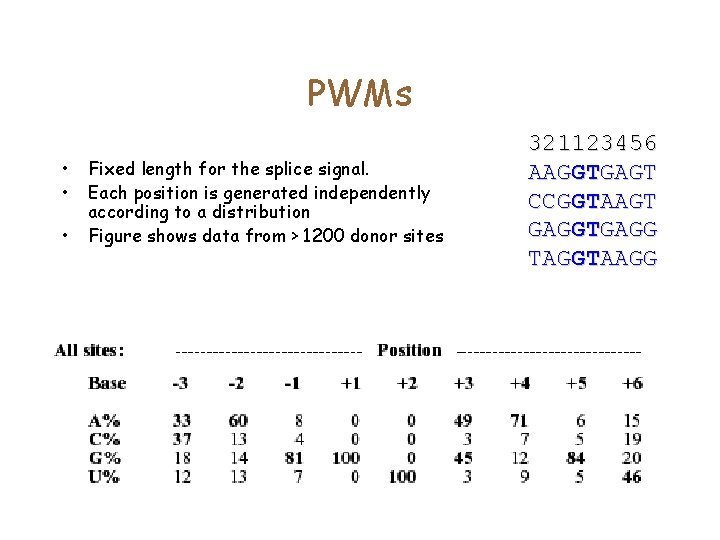 PWMs • • • Fixed length for the splice signal. Each position is generated