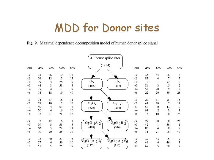 MDD for Donor sites 