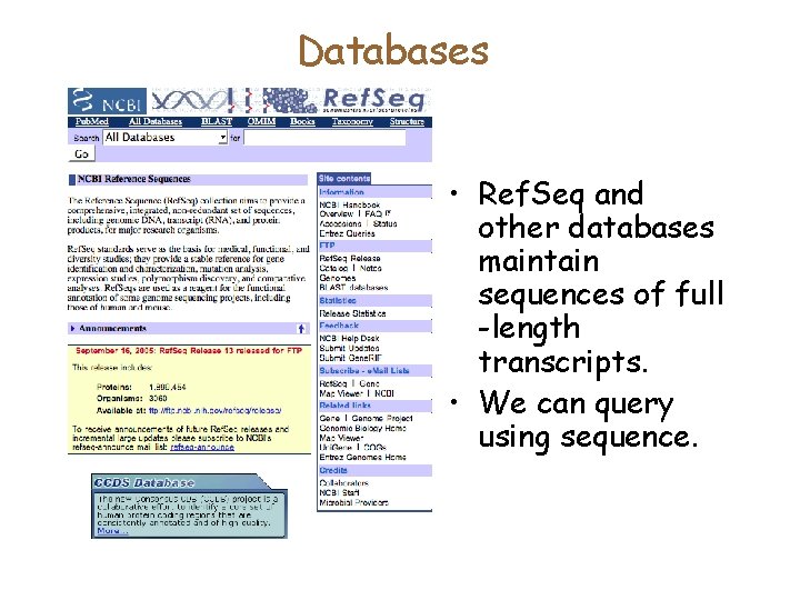 Databases • Ref. Seq and other databases maintain sequences of full -length transcripts. •