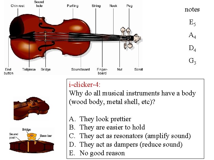 notes E 5 A 4 D 4 G 3 i-clicker-4: Why do all musical