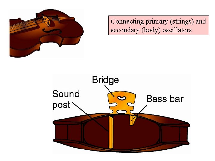 Connecting primary (strings) and secondary (body) oscillators 