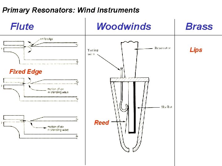 Primary Resonators: Wind Instruments Flute Woodwinds Brass Lips Fixed Edge Reed 