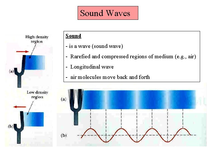 Sound Waves Sound - is a wave (sound wave) - Rarefied and compressed regions