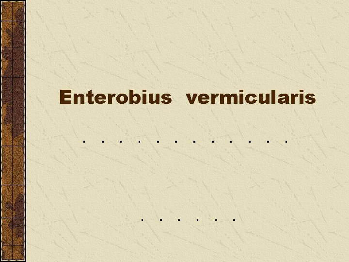 Enterobius vermicularis 