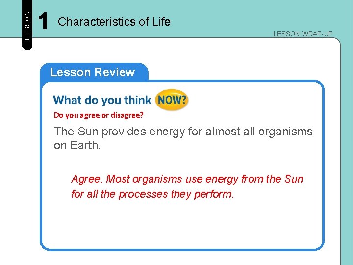 LESSON 1 Characteristics of Life LESSON WRAP-UP Lesson Review Do you agree or disagree?