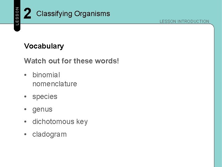 LESSON 2 Classifying Organisms Vocabulary Watch out for these words! • binomial nomenclature •