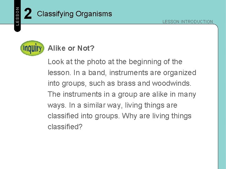 LESSON 2 Classifying Organisms LESSON INTRODUCTION Alike or Not? Look at the photo at