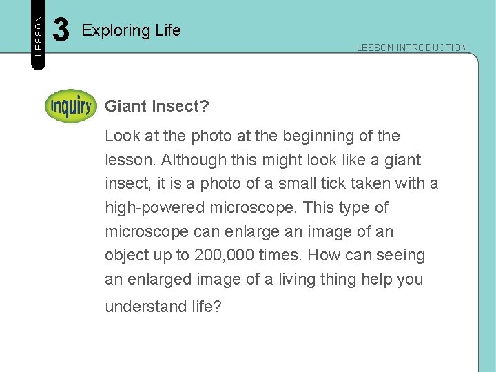 LESSON 3 Exploring Life LESSON INTRODUCTION Giant Insect? Look at the photo at the
