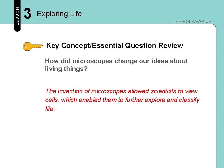 LESSON 3 Exploring Life LESSON WRAP-UP Key Concept/Essential Question Review How did microscopes change