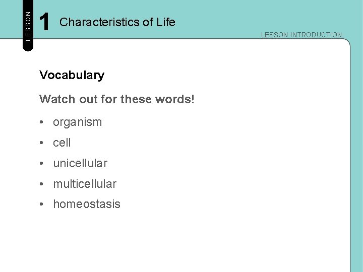 LESSON 1 Characteristics of Life Vocabulary Watch out for these words! • organism •