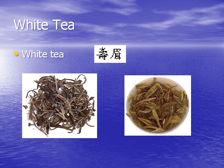 White Tea • White tea 