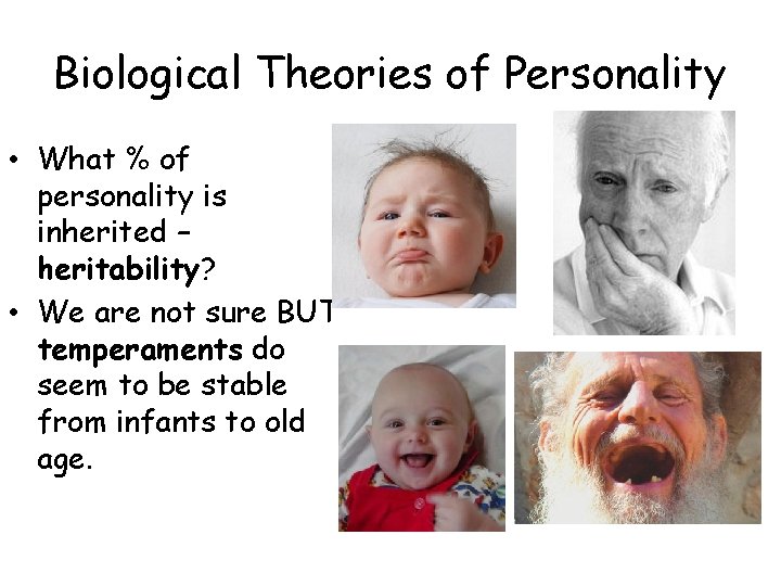 Biological Theories of Personality • What % of personality is inherited – heritability? •