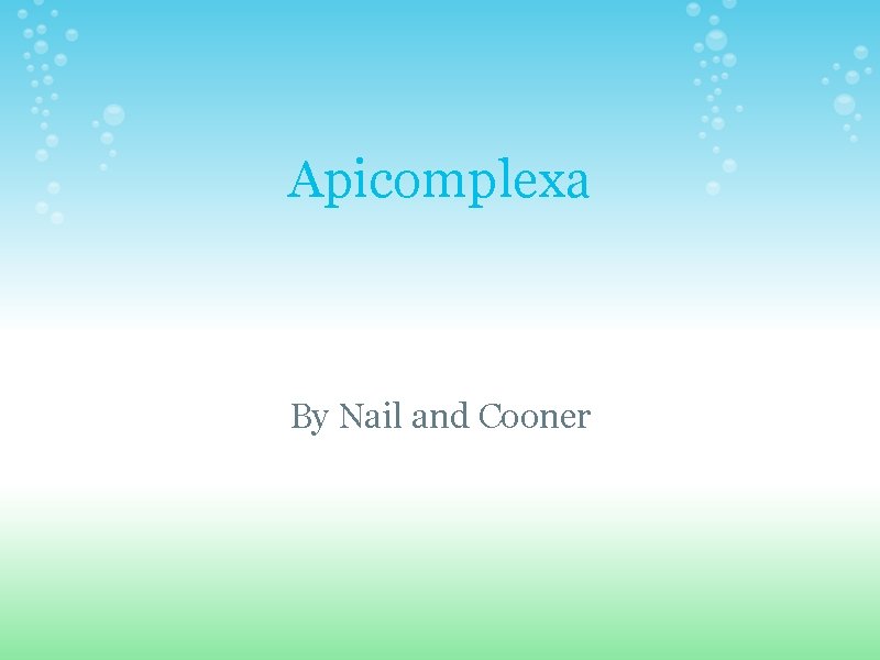 Apicomplexa By Nail and Cooner 