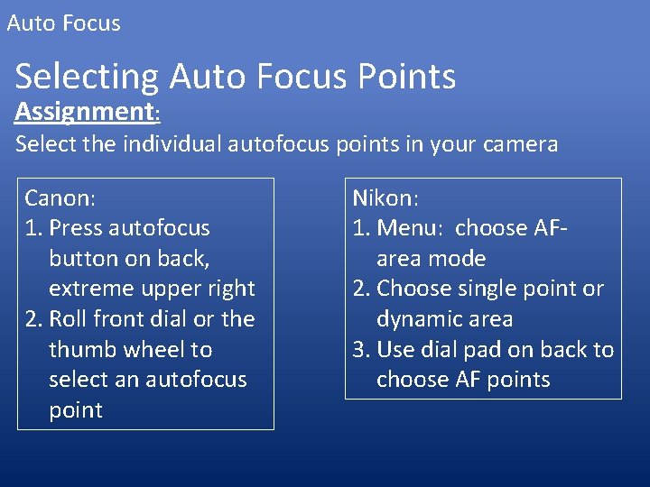 Auto Focus Selecting Auto Focus Points Assignment: Select the individual autofocus points in your