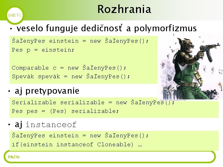 paz 1 c Rozhrania • veselo funguje dedičnosť a polymorfizmus Šaľeny. Pes einstein =