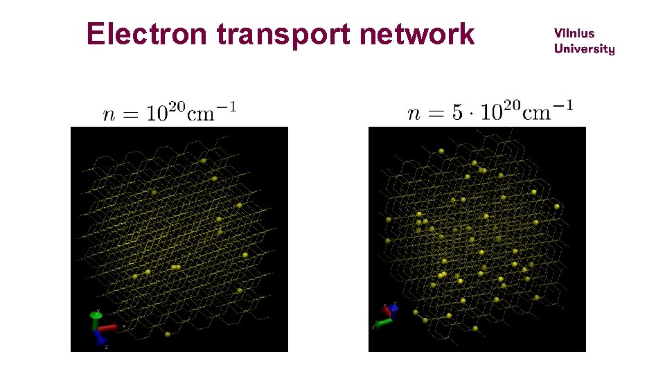 Electron transport network 