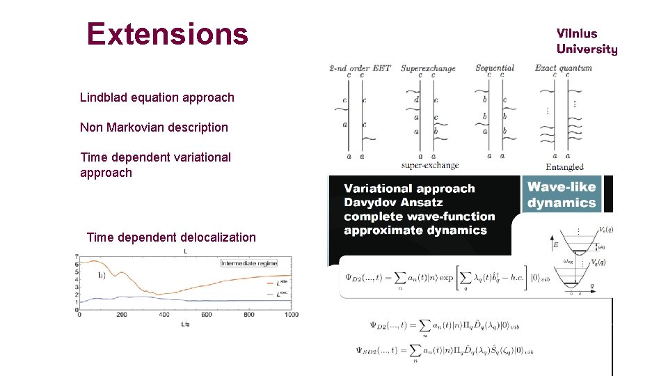 Extensions Lindblad equation approach Non Markovian description Time dependent variational approach Time dependent delocalization
