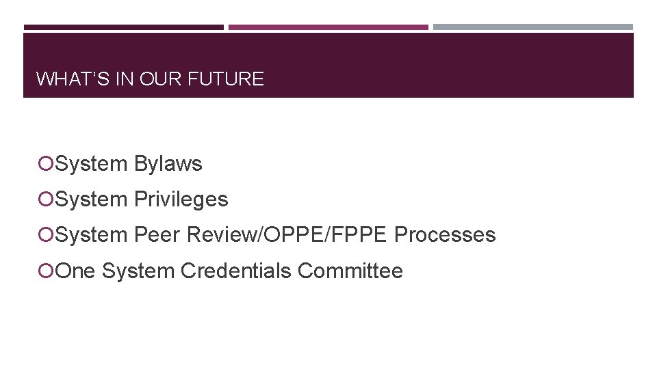 WHAT’S IN OUR FUTURE System Bylaws System Privileges System Peer Review/OPPE/FPPE Processes One System