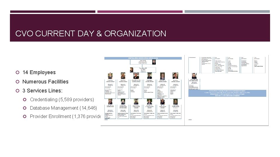CVO CURRENT DAY & ORGANIZATION 14 Employees Numerous Facilities 3 Services Lines: Credentialing (5,