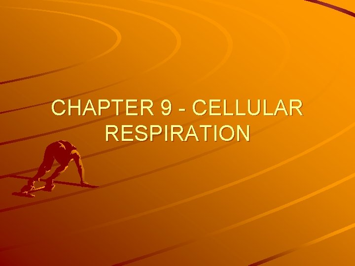 CHAPTER 9 - CELLULAR RESPIRATION 