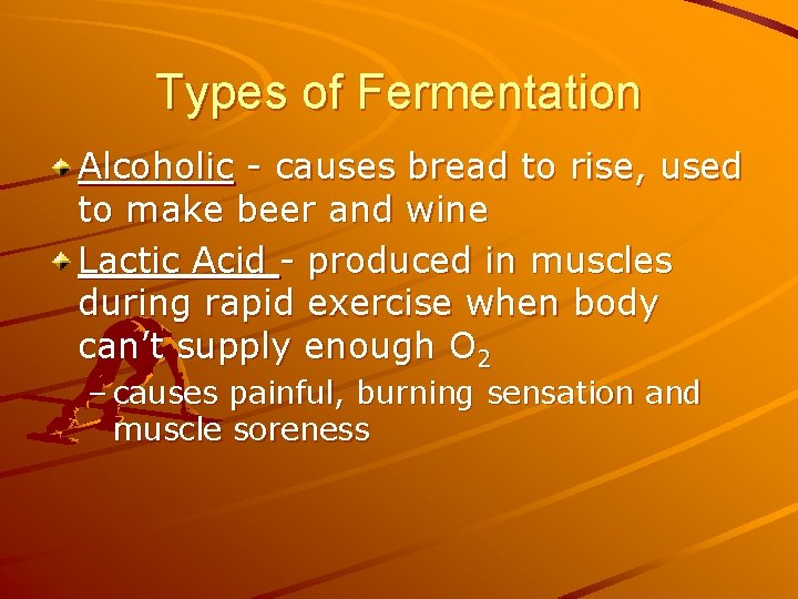 Types of Fermentation Alcoholic - causes bread to rise, used to make beer and