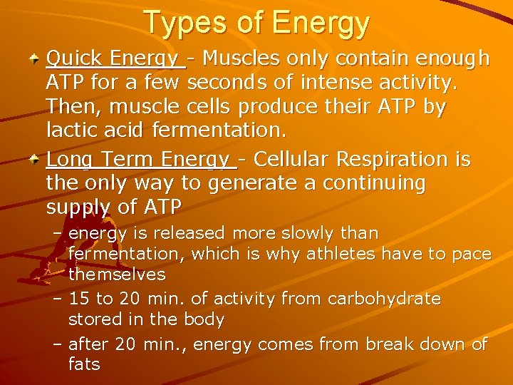 Types of Energy Quick Energy - Muscles only contain enough ATP for a few