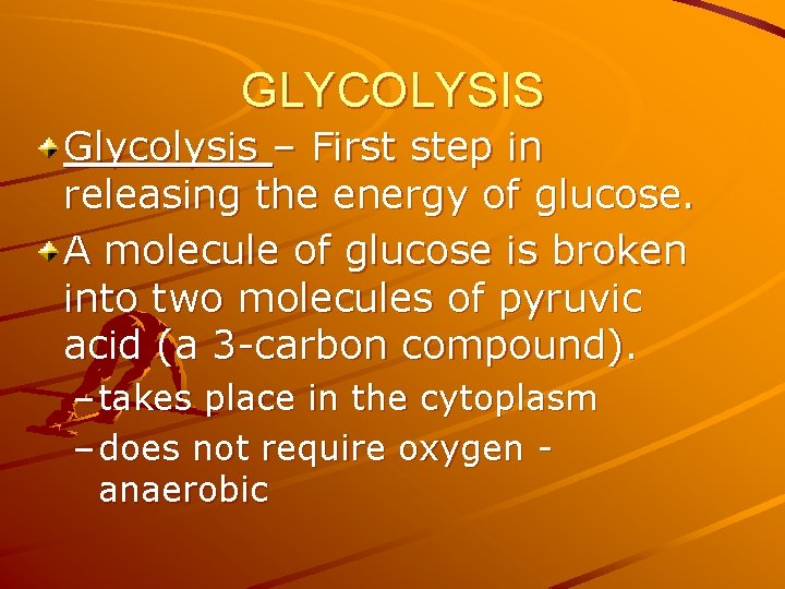 GLYCOLYSIS Glycolysis – First step in releasing the energy of glucose. A molecule of