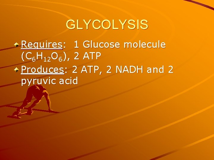 GLYCOLYSIS Requires: 1 Glucose molecule (C 6 H 12 O 6), 2 ATP Produces: