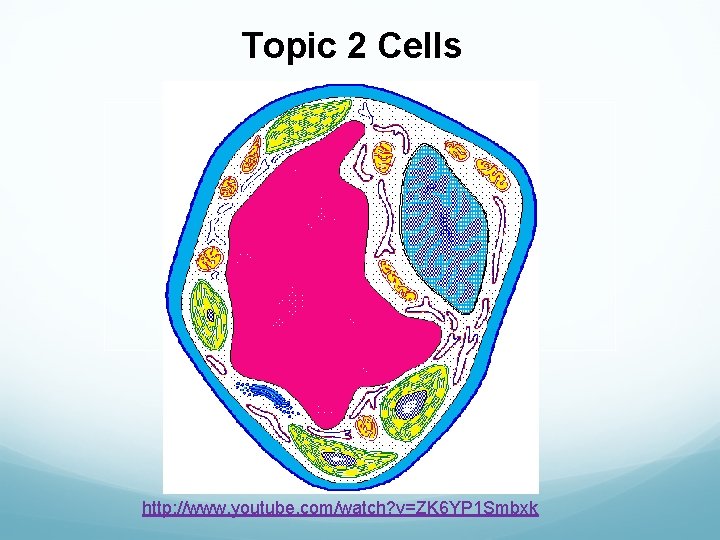 Topic 2 Cells http: //www. youtube. com/watch? v=ZK 6 YP 1 Smbxk 