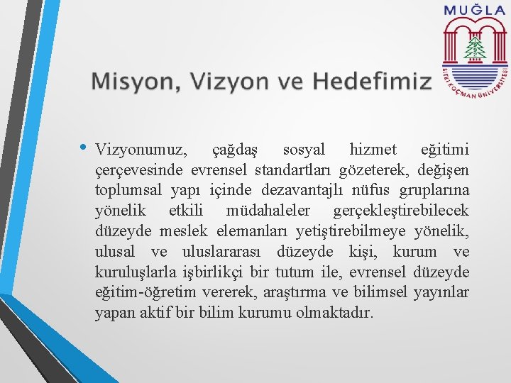  • Vizyonumuz, çağdaş sosyal hizmet eğitimi çerçevesinde evrensel standartları gözeterek, değişen toplumsal yapı