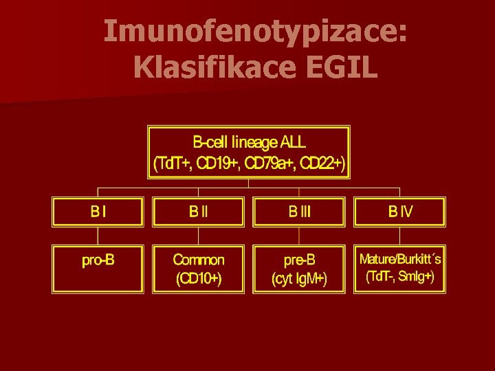 Imunofenotypizace: Klasifikace EGIL 