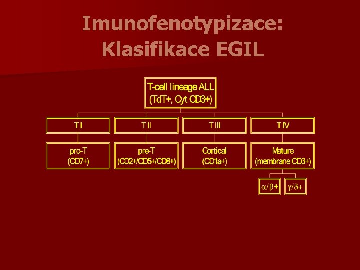 Imunofenotypizace: Klasifikace EGIL 