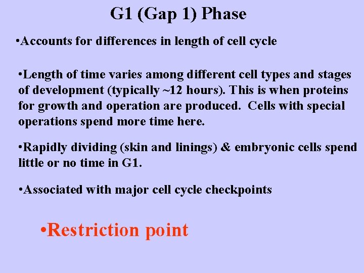 G 1 (Gap 1) Phase • Accounts for differences in length of cell cycle