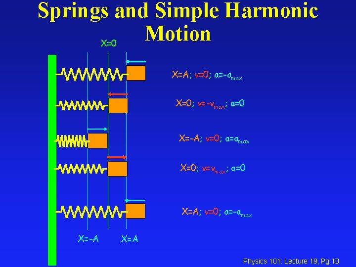 Springs and Simple Harmonic Motion X=0 X=A; v=0; a=-amax X=0; v=-vmax; a=0 X=-A; v=0;