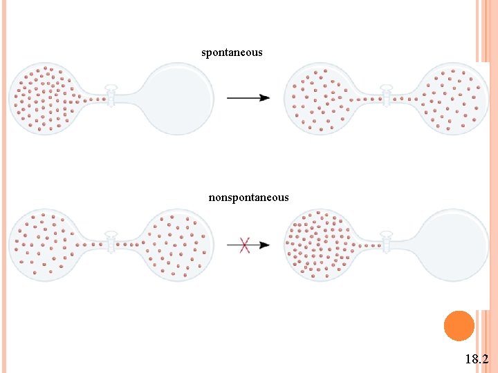 spontaneous nonspontaneous 18. 2 