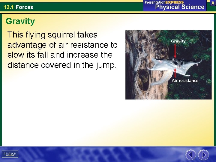 12. 1 Forces Gravity This flying squirrel takes advantage of air resistance to slow