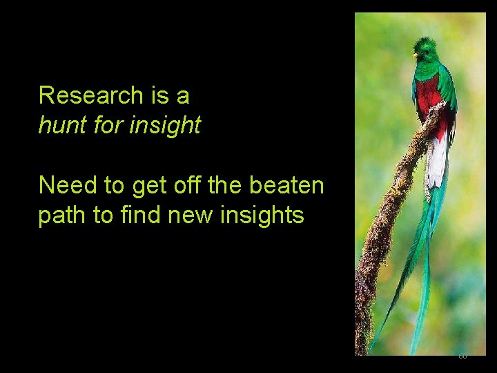 Research is a hunt for insight Need to get off the beaten path to