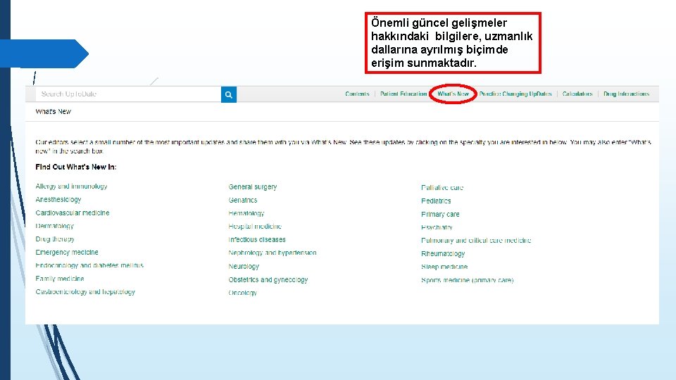 Önemli güncel gelişmeler hakkındaki bilgilere, uzmanlık dallarına ayrılmış biçimde erişim sunmaktadır. 