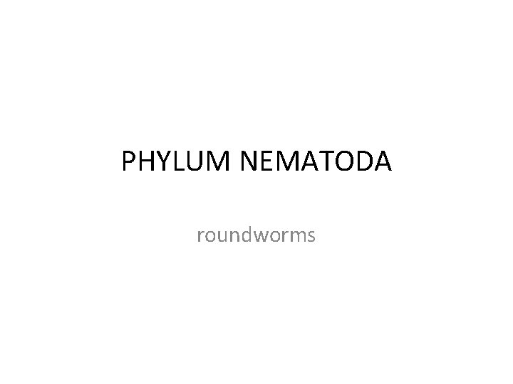PHYLUM NEMATODA roundworms 