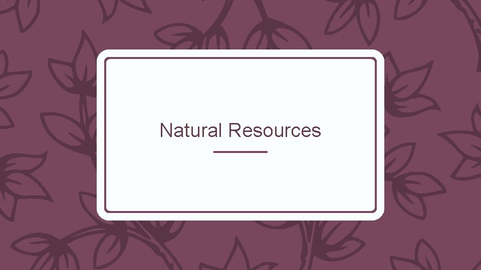 Natural Resources 