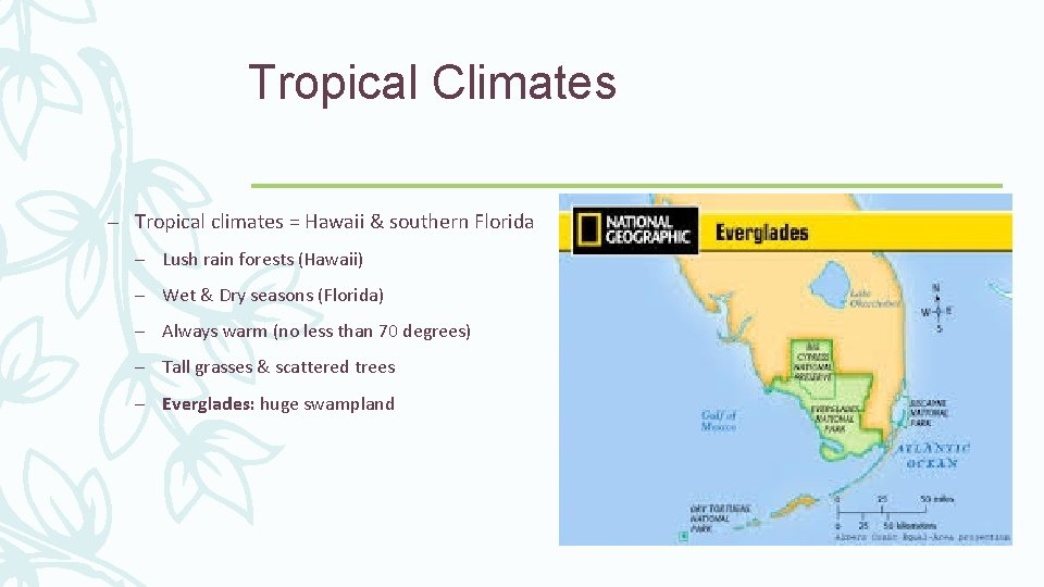 Tropical Climates – Tropical climates = Hawaii & southern Florida – Lush rain forests