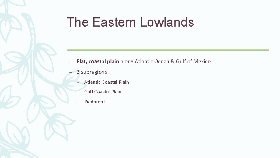 The Eastern Lowlands – Flat, coastal plain along Atlantic Ocean & Gulf of Mexico