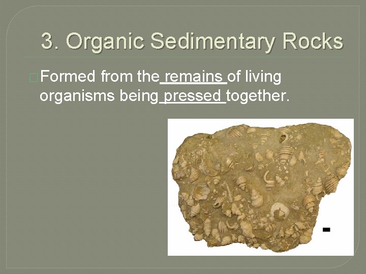 3. Organic Sedimentary Rocks �Formed from the remains of living organisms being pressed together.