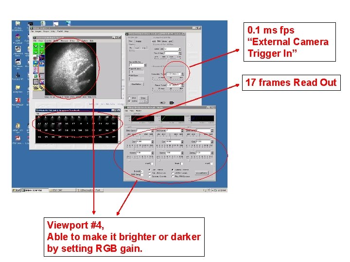 0. 1 ms fps “External Camera Trigger In” 17 frames Read Out Viewport #4,