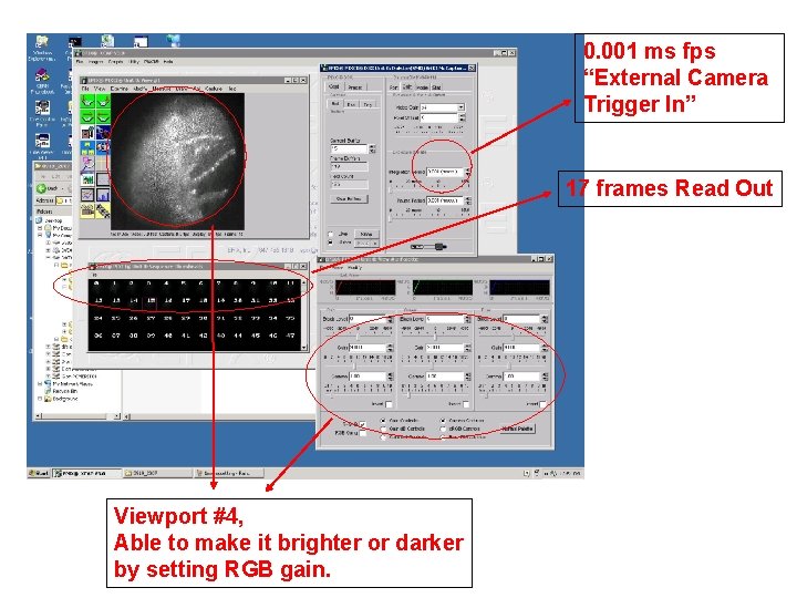 0. 001 ms fps “External Camera Trigger In” 17 frames Read Out Viewport #4,