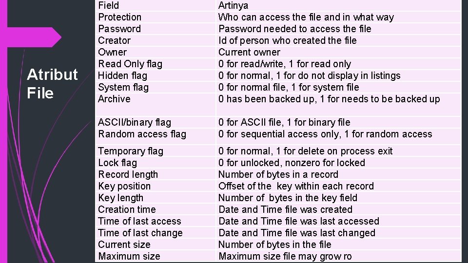 Atribut File Field Protection Password Creator Owner Read Only flag Hidden flag System flag